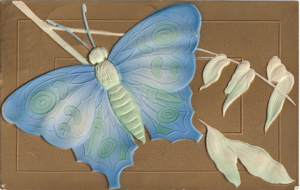 Blue-Green Butterfly - Postcard, c. 1900s