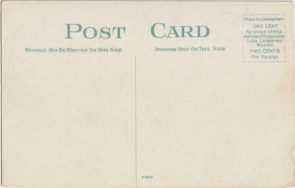 Buffalo - Buffalo, New York - Postcard, c. 1900s