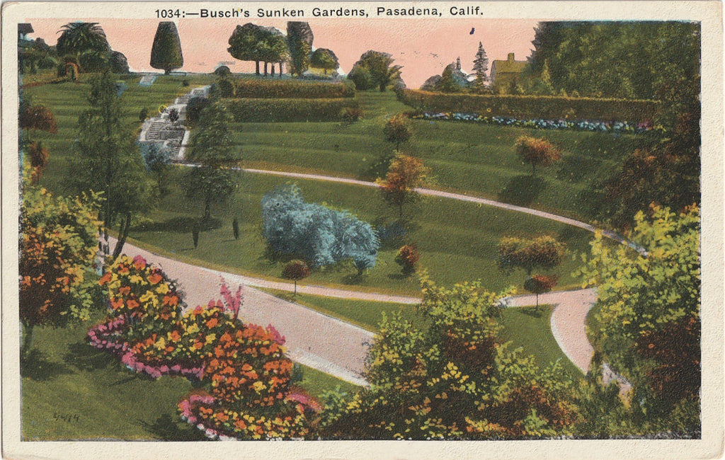 Busch's Sunken Gardens - Pasadena, CA - Postcard, c. 1920s