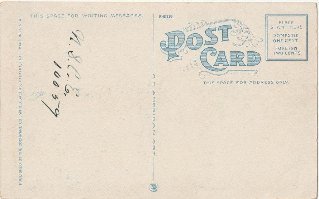 Florida Razor Back Hog - Postcard, c. 1920s