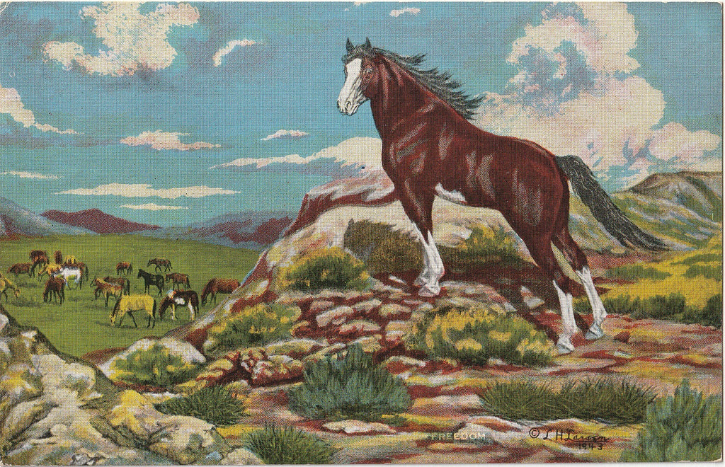 Freedom - L. H. "Dude" Larsen" - Postcard, c. 1943