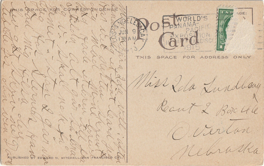 In Poppyland - California Poppies - Postcard, c. 1910s