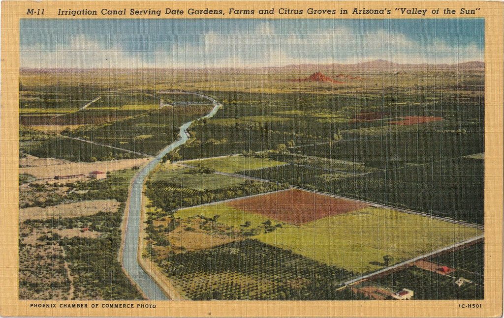 Irrigation Canal - Date Farms - Citrus Groves - Arizona Postcard, c. 1950s