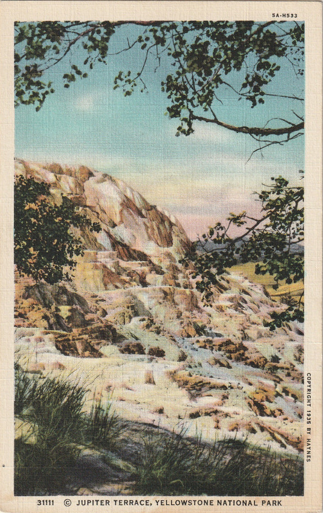 Jupiter Terrace - Yellowstone National Park, WY - Postcard, c 1940s