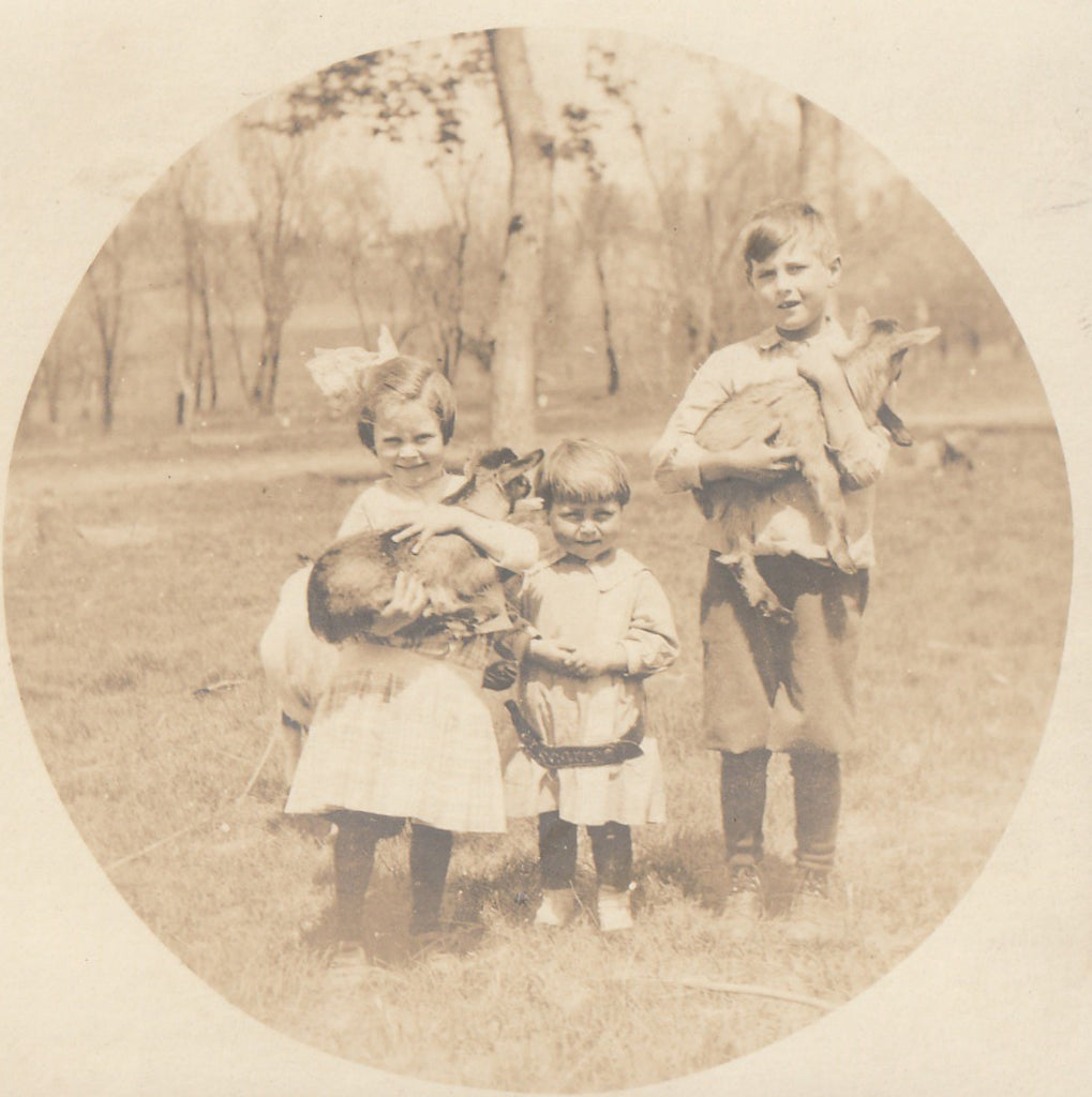 Kids - Armina, Harold & Glenn with Baby Goats - RPPC, c. 1900s