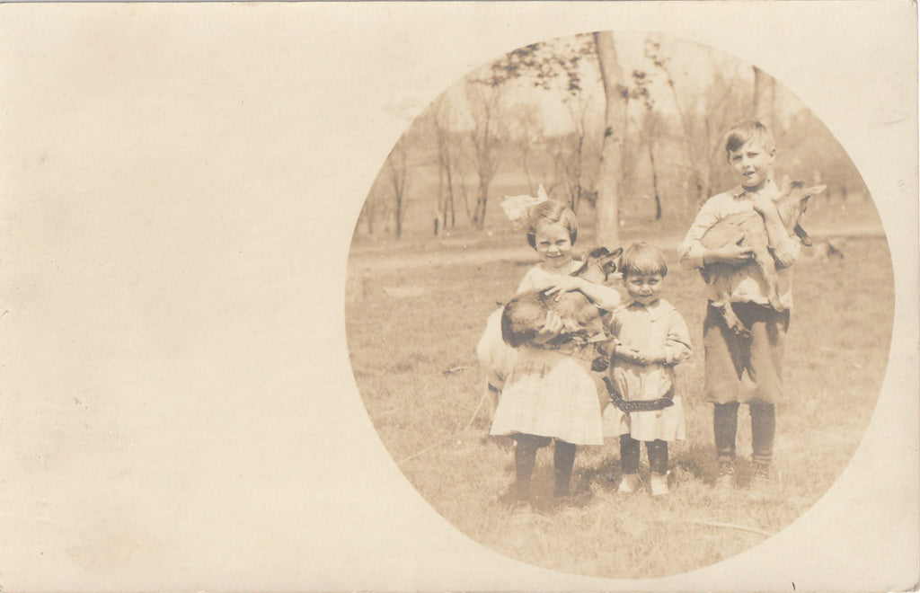 Kids - Armina, Harold & Glenn with Baby Goats - RPPC, c. 1900s