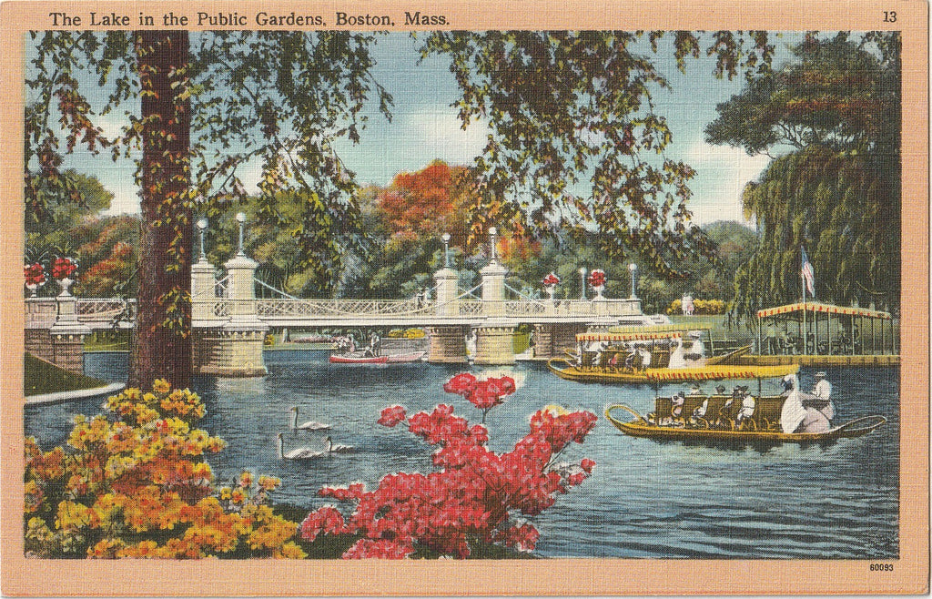 Lake in the Public Gardens - Boston, MA - Postcard, c. 1950s