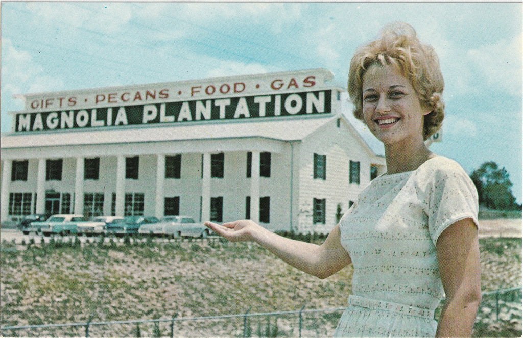 Magnolia Plantation - Tifton, GA - Postcard, c. 1960s