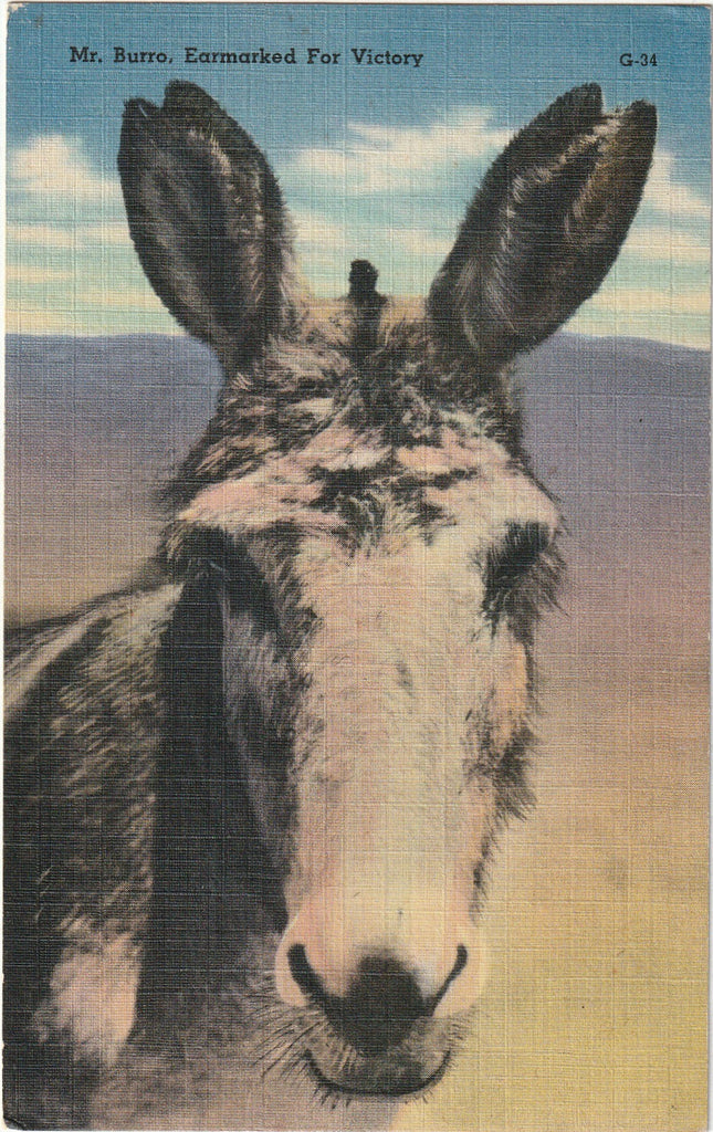 Mr. Burro, Earmarked for Victory - Postcard, c. 1940s