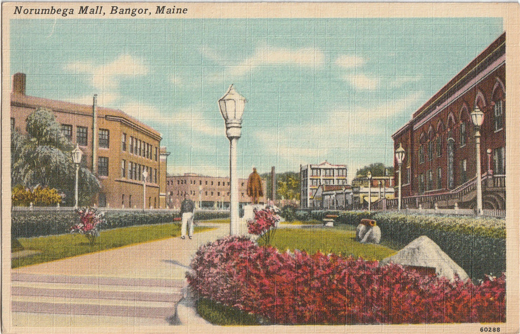 Norumbega Mall - Bangor, Maine - Postcard, c. 1950s