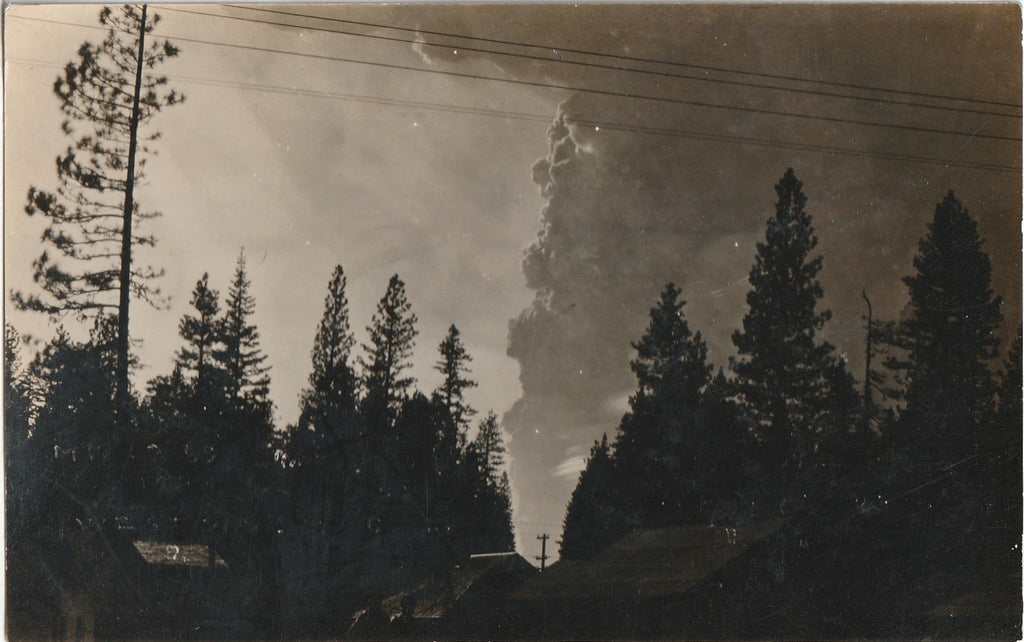 Ominous Forest Fire - RPPC, c. 1910s