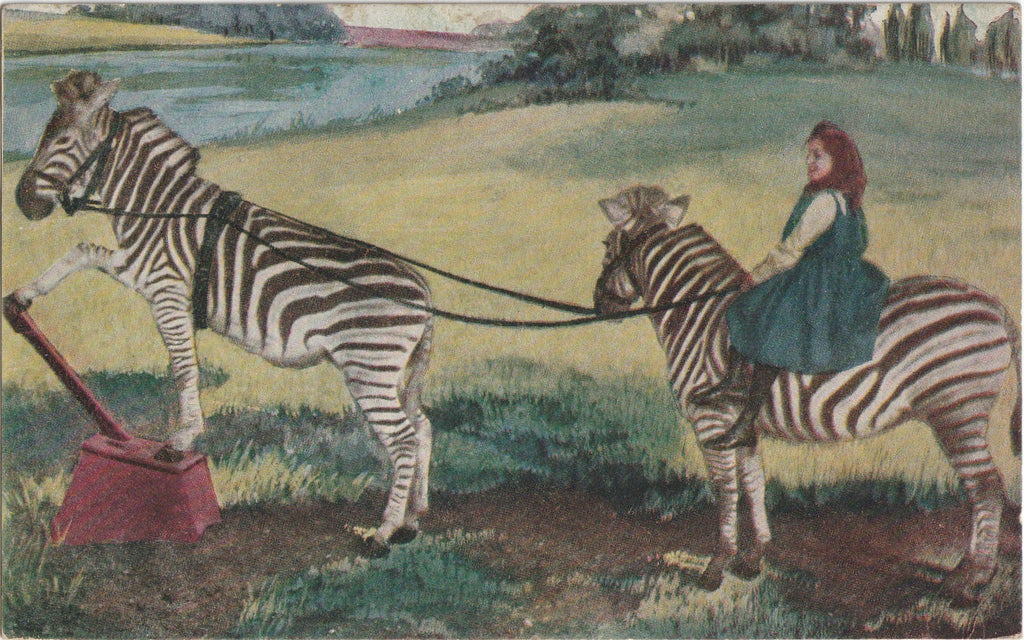 Pair of Trained Zebras - Ringling Bros. Circus Menagerie - Postcard, c. 1900s