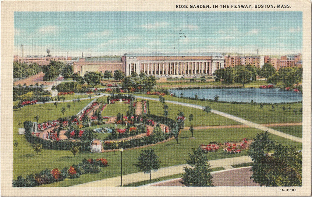 Rose Garden In The Fenway - Boston, MA - Postcard, c. 1950s