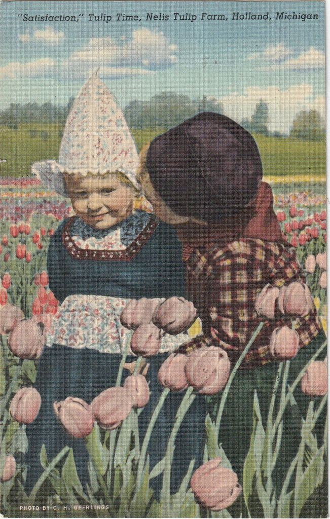Satisfaction, Tulip Time - Nelis Tulip Farm - Holland, Michigan - Postcard, c. 1940s
