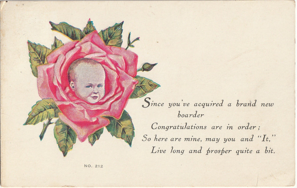 Since You've Acquired a Brand New Boarder - Rose Baby - F. A. Owen Co. Postcard, c. 1910s