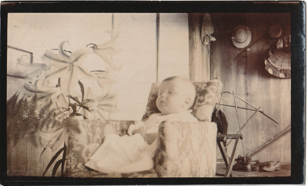 Sleepy Baby in Sunroom - Interior View - Photo, c. 1900s