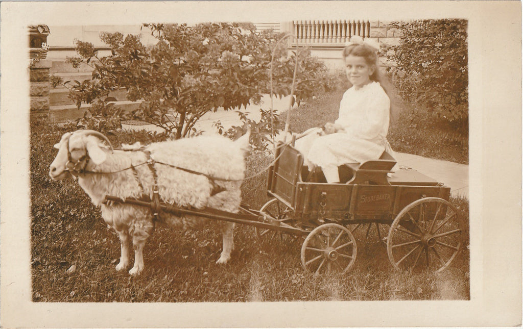 Studebaker Goat Wagon - RPPC, c. 1910s