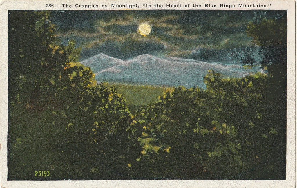 The Craggies by Moonlight - Heart of the Blue Ridge Mountains, NC - Postcard, c. 1920s