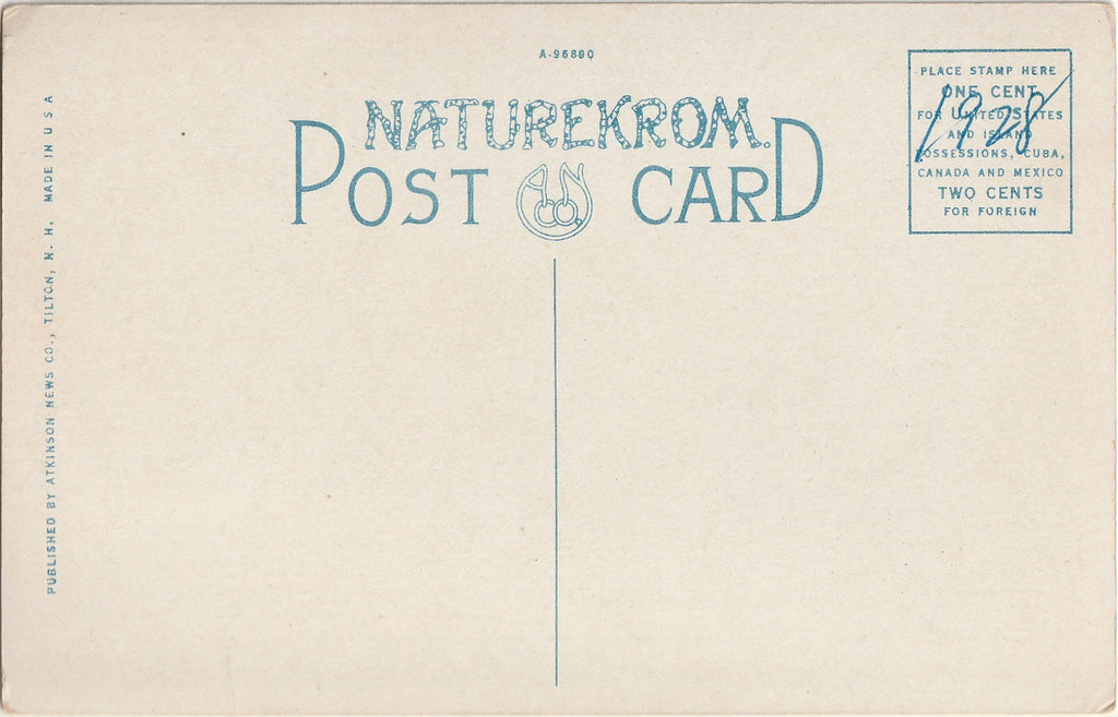 The Dells - Littleton, New Hampshire - Postcard, c. 1920s