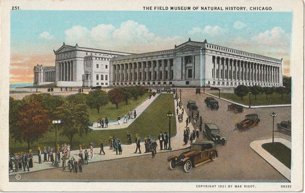 The Field Museum of Natural History - Chicago Postcard, c. 1920s