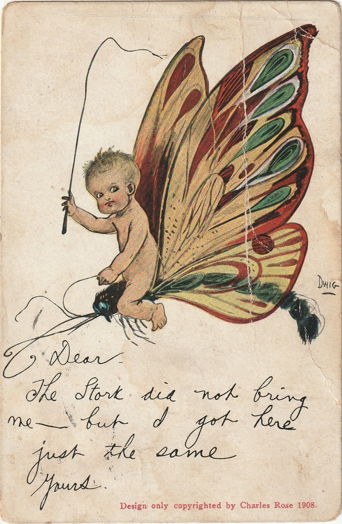 The Stork Did Not Bring Me, But I Got Here Just The Same - Butterfly Rider - Dwig - Postcard, c. 1908