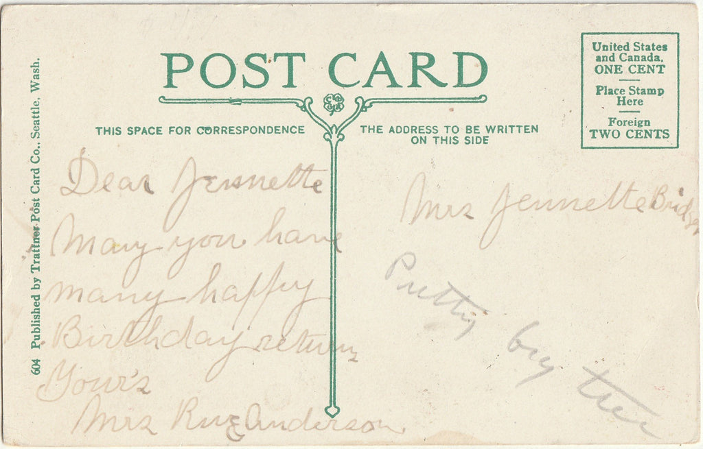 Washington Cedar Tree - 17 Feet in Diameter - Postcard, c. 1900s
