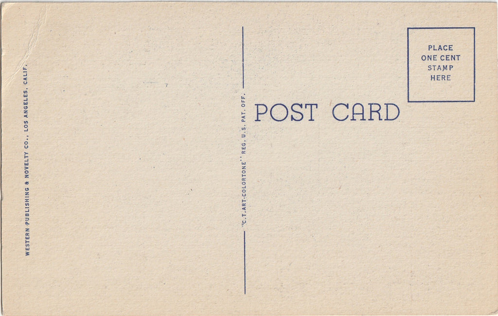 Wisteria Blossoms - California - Postcard, c. 1930s