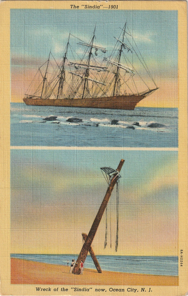 Wreck of the Sindia - Ocean City, New Jersey - Postcard, c. 1950s