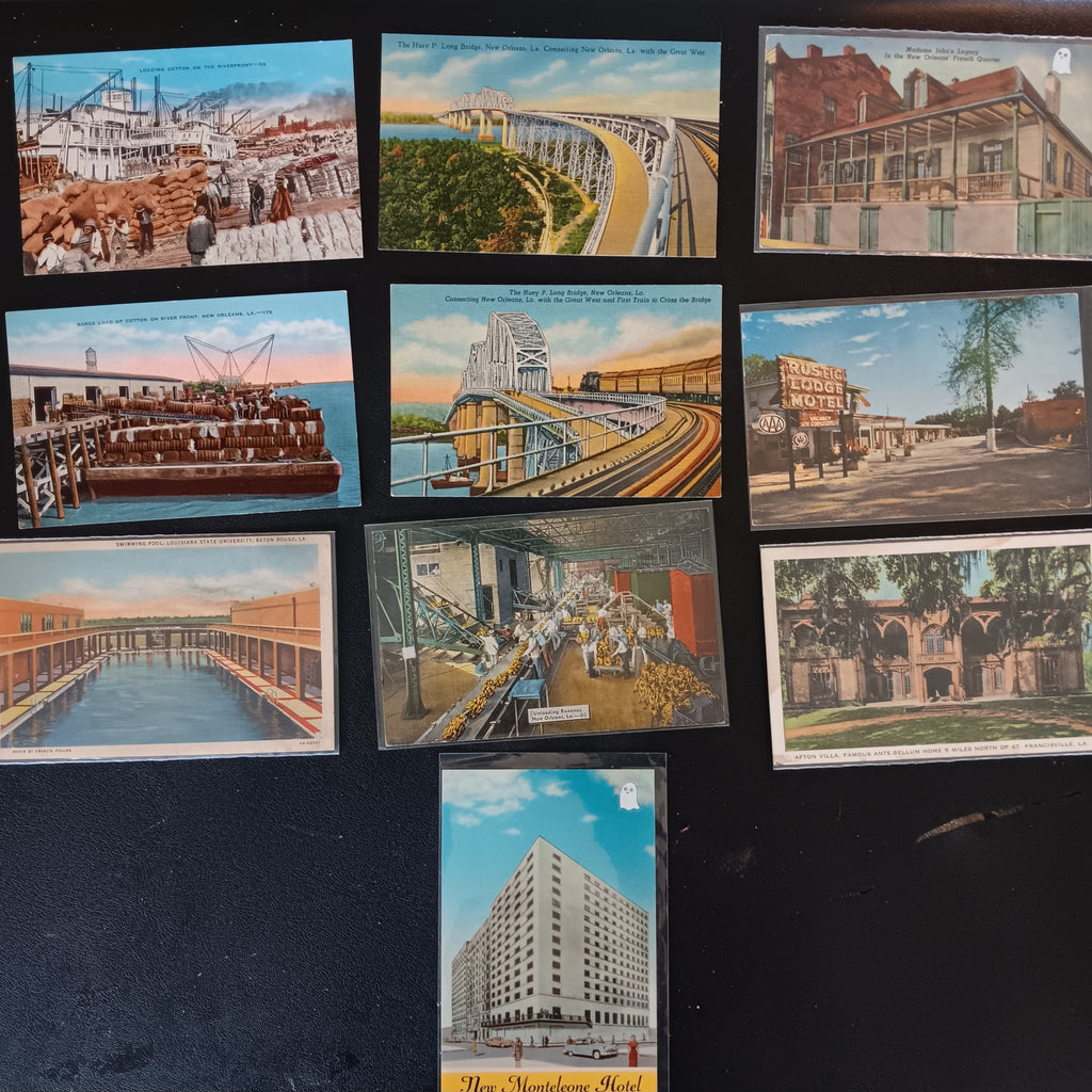 Hemlock - SET of 2 - Pennsylvania State Tree - Postcards, c. 1940s ...