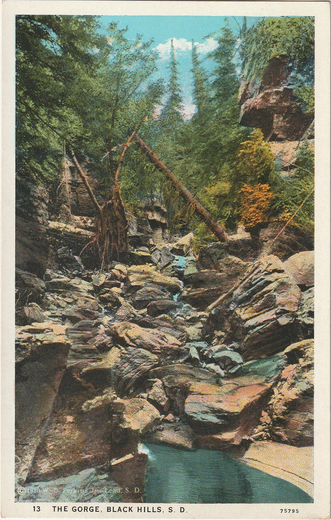 The Gorge, Black Hills, S. D. Postcard
