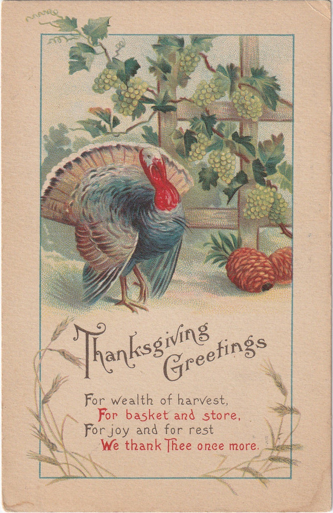 Thanksgiving Day Greetings - SET of 5 - Postcards, c. 1910s