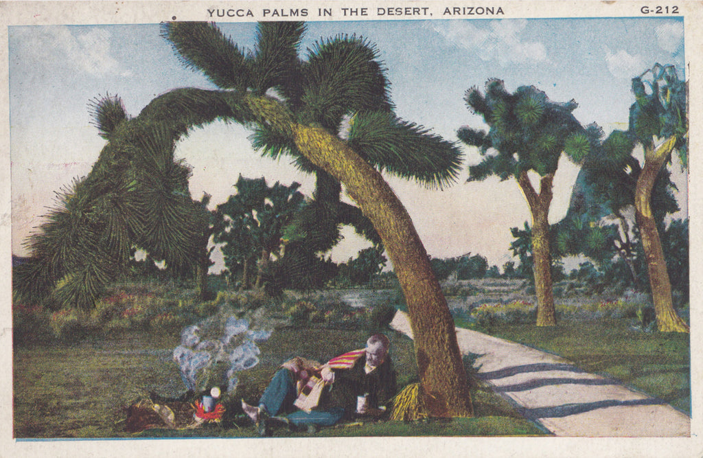 Yucca Palms in the Desert- 1920s Antique Postcard- Phoenix, Arizona- Desert Scenery- A O Boeres- Southwest Landscape