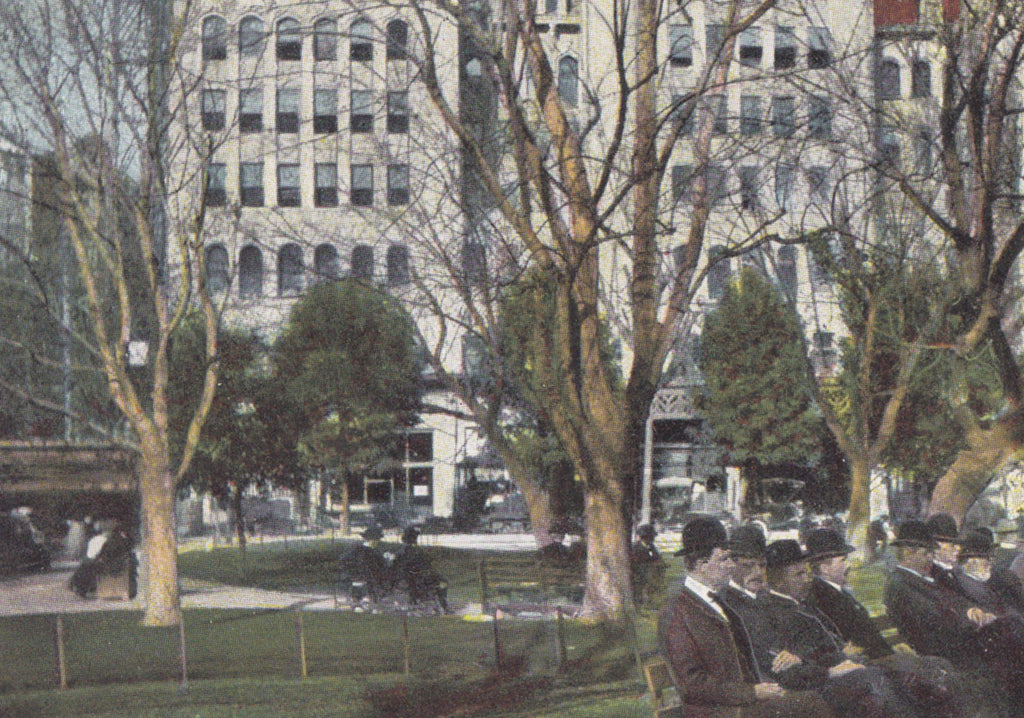 Central Park and Auditorium- 1900s Antique Postcard- L.A. Gentlemen- Los Angeles, California- Newman Co.- Unused