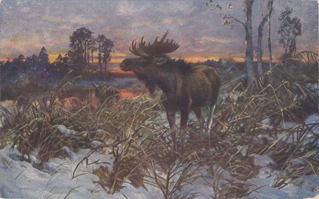 Moose at Sunset- 1900s Antique Postcard- Sunset Painting- H. W. S.- Artist Signed- Theochrom- Unused