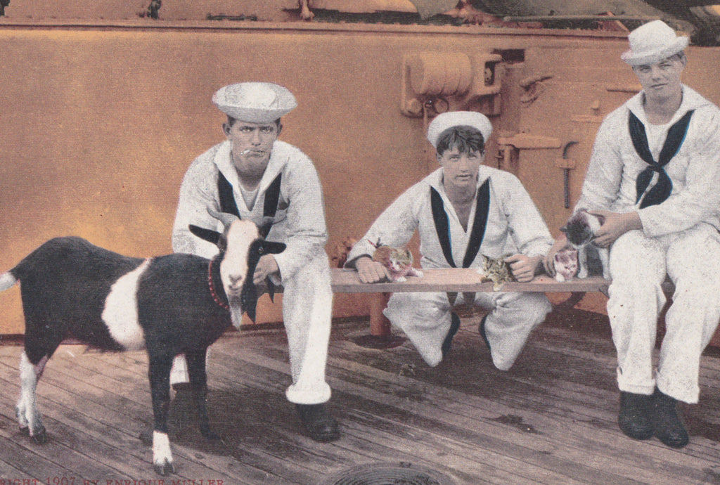 Battleship Mascots- 1900s Antique Postcard- US Navy Warship- American Sailors- Kitttens and Goat- Unused