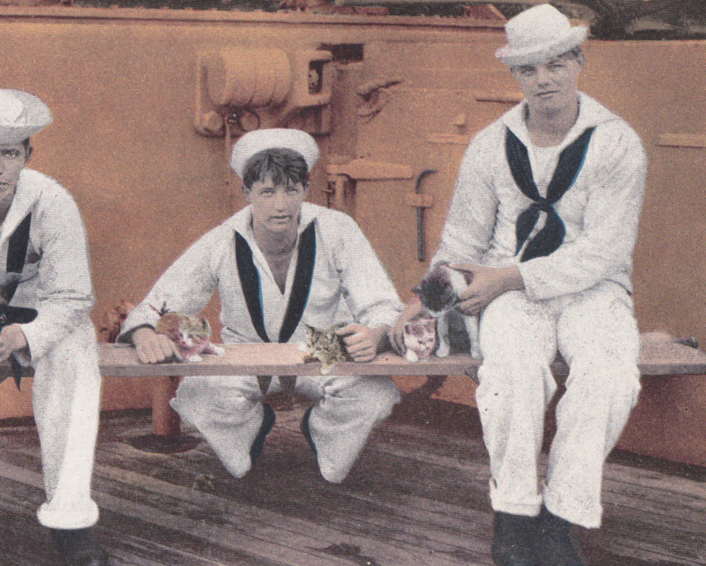 Battleship Mascots- 1900s Antique Postcard- US Navy Warship- American Sailors- Kitttens and Goat- Unused