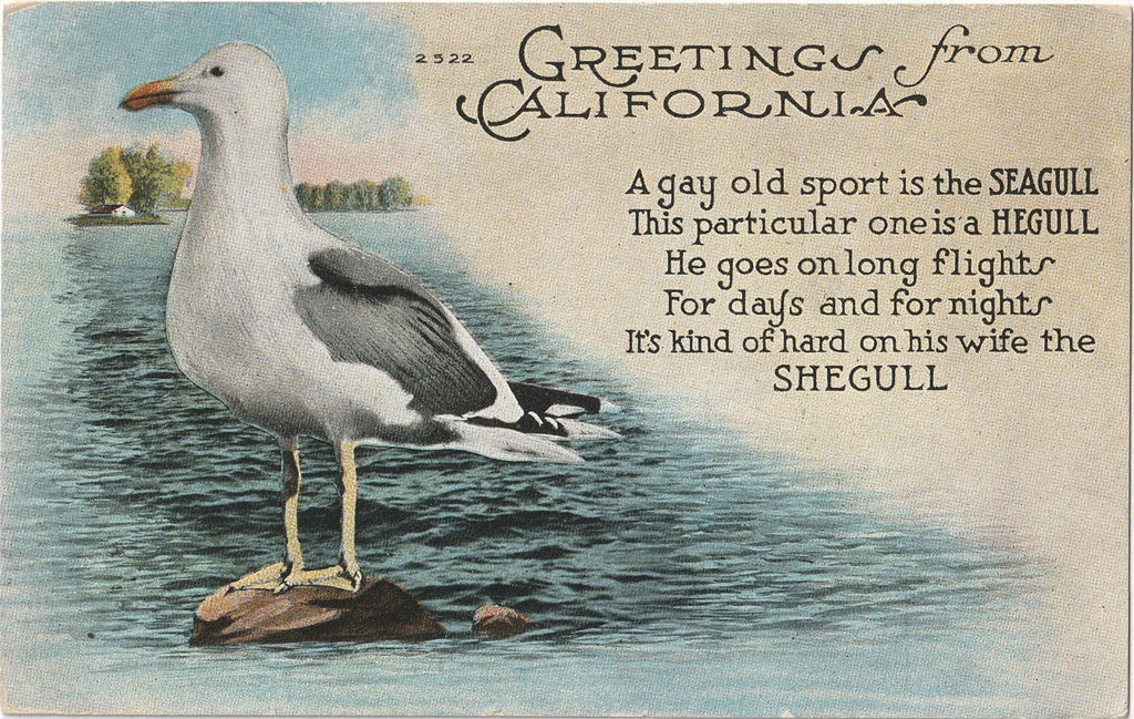 A Gay Old Spirit Is the Seagull - Greetings From California - Postcard, c. 1920s