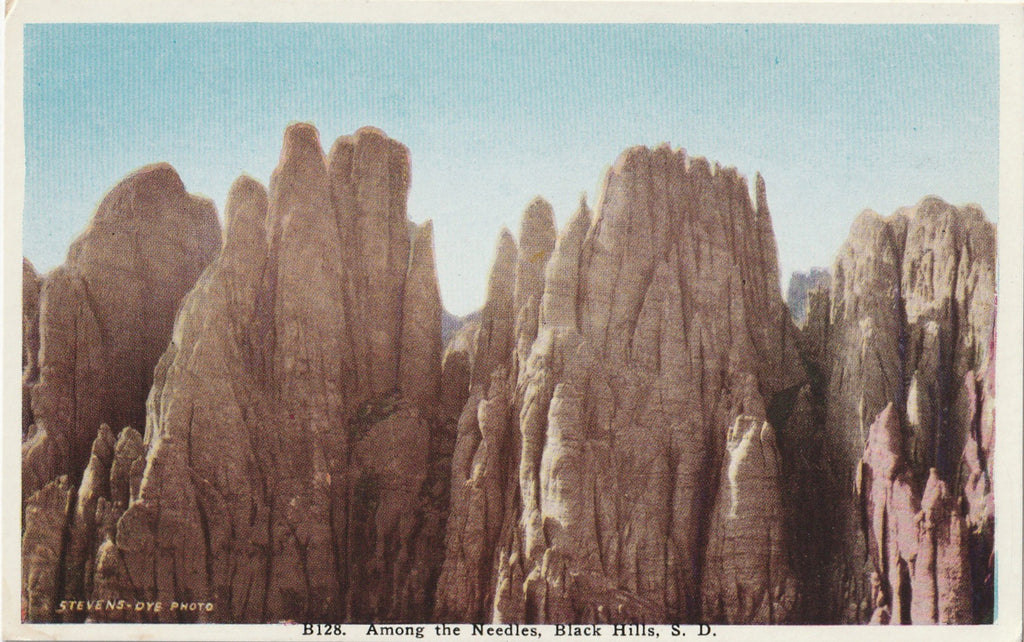 Among the Needles Black Hills SD Postcard 