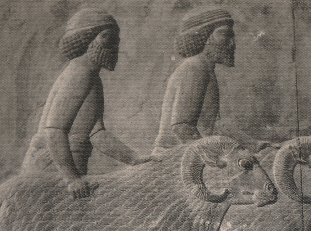 Ancient Syrians with Rams Relief- Persepolis, Apadana, East Stairs - RPPC Close Up