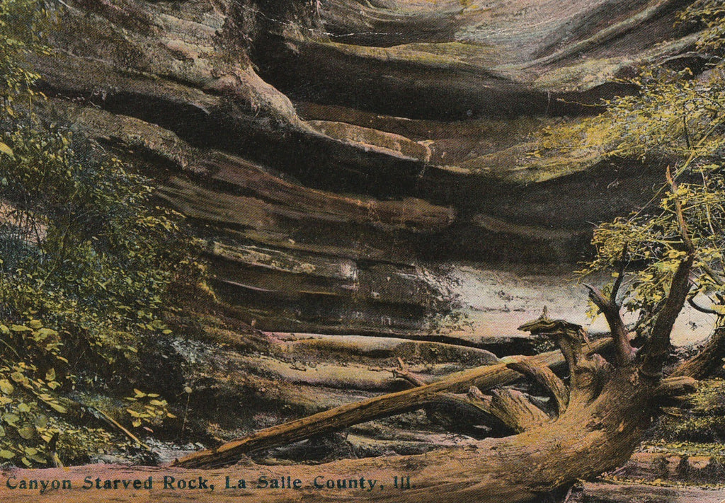 Aurora Canyon  Starved Rock State Park Antique Postcard Close Up