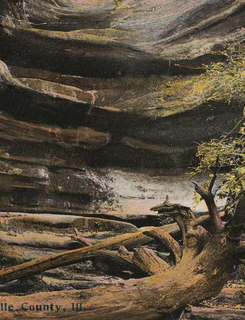 Aurora Canyon  Starved Rock State Park Antique Postcard Close Up 2