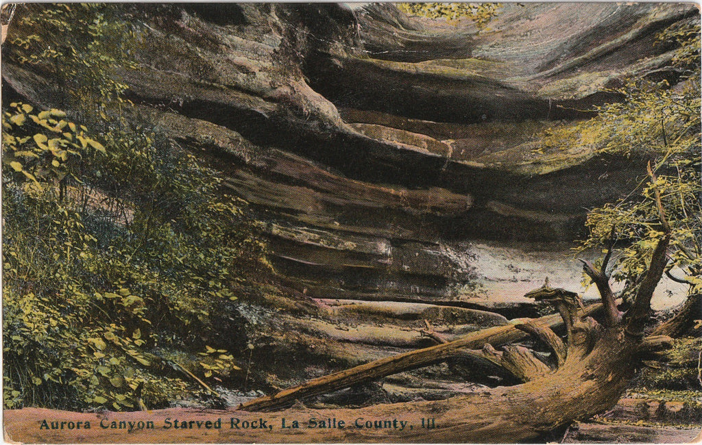 Aurora Canyon  Starved Rock State Park Antique Postcard