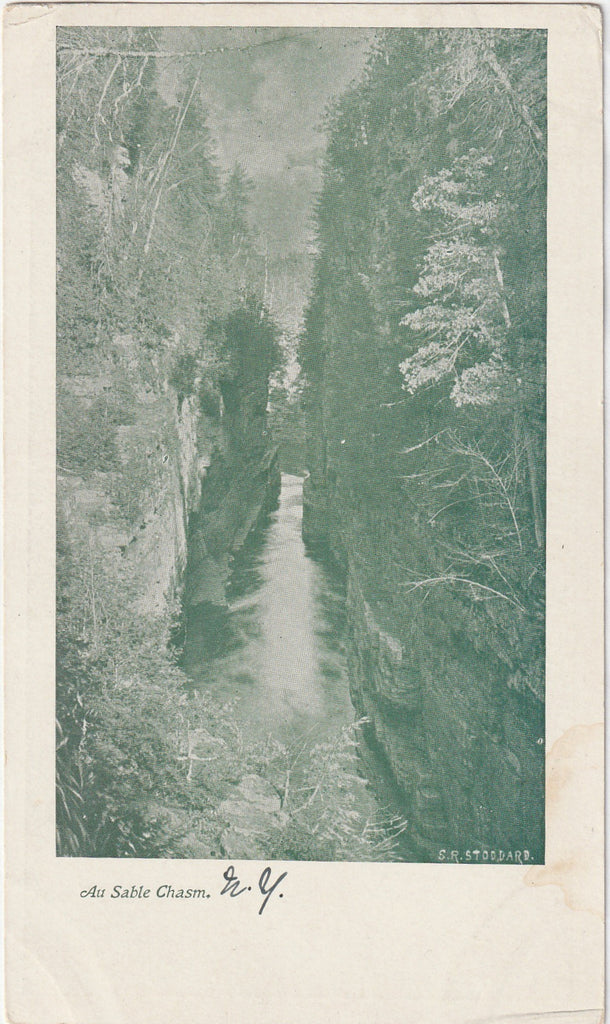 Ausable Chasm NY S. R. Stoddard Postcard