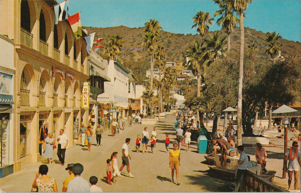 Avalon, Catalina Island, California - Scenikrome Postcard, c. 1960s
