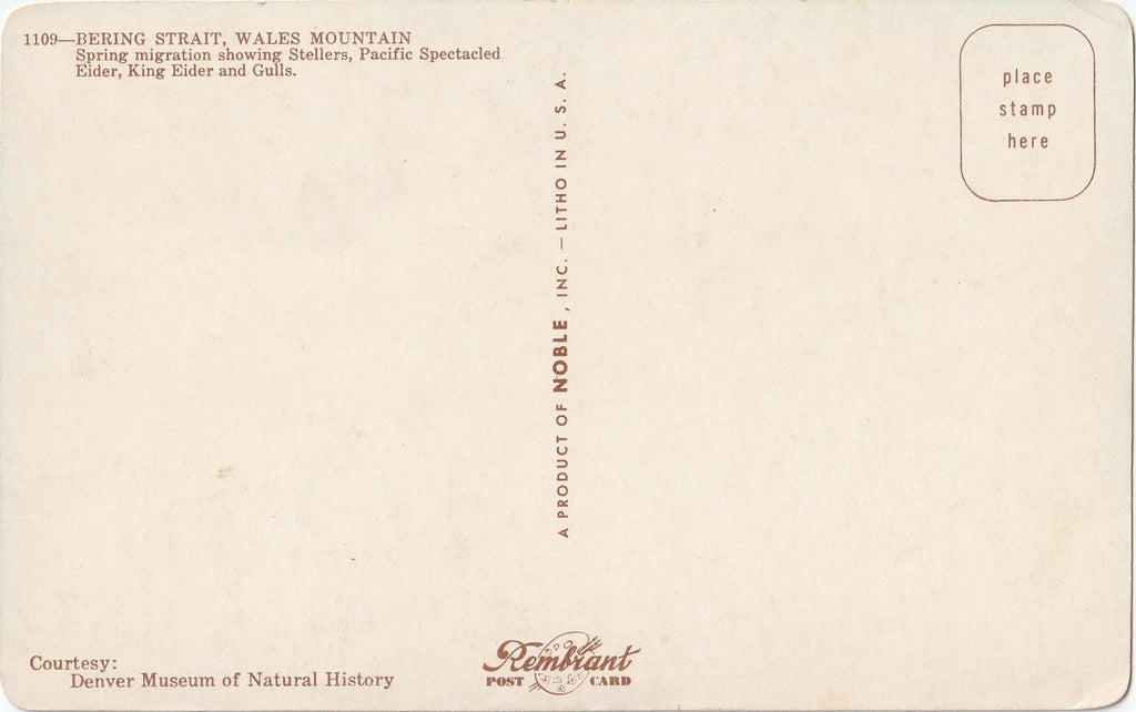Bering Strait Denver Museum of Natural History Postcard Back