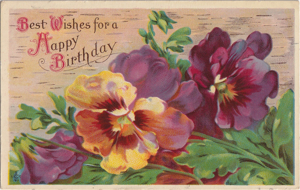 Best Wishes for a Happy Birthday Postcard