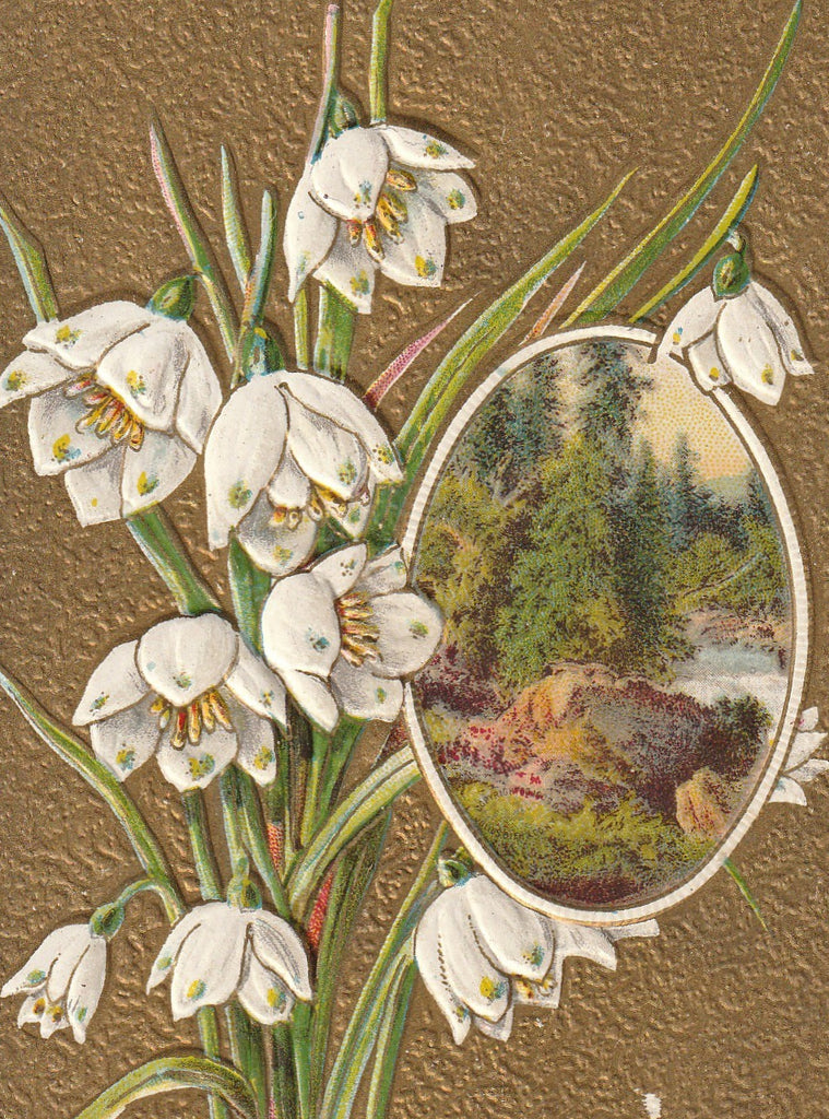 Best Easter Wishes White Crocus Antique Postcard Close Up