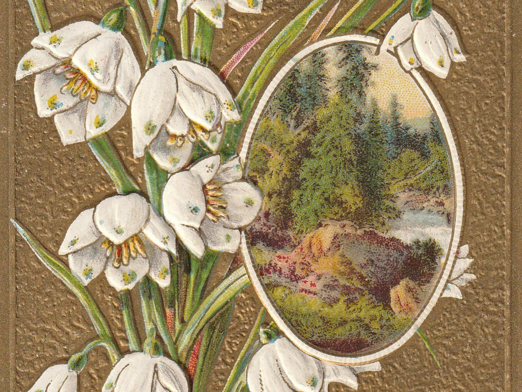 Best Easter Wishes White Crocus Antique Postcard Close Up 2