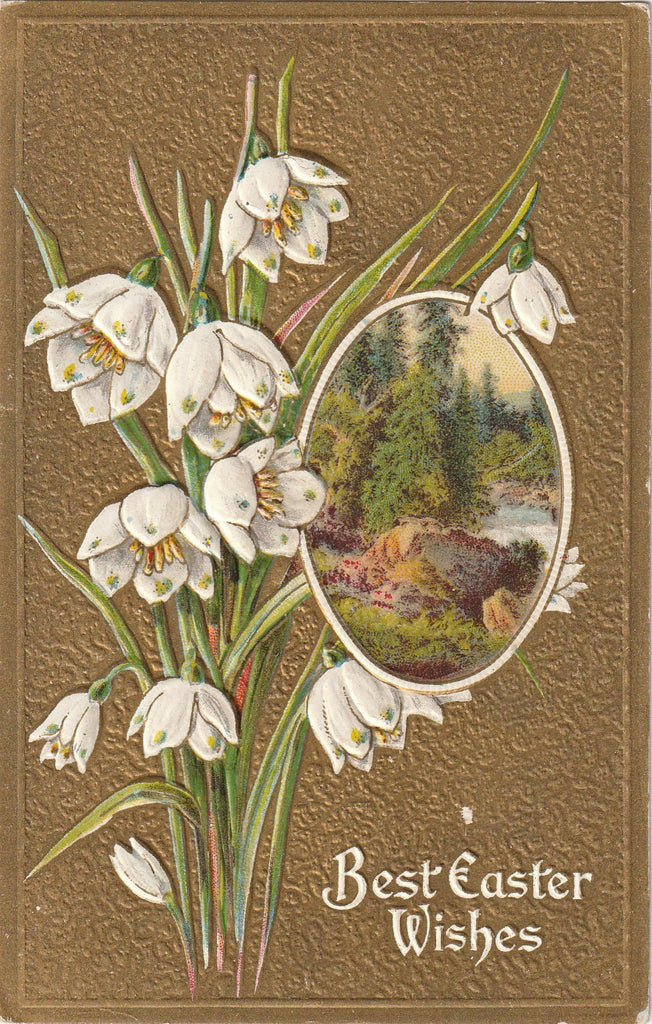 Best Easter Wishes White Crocus Antique Postcard