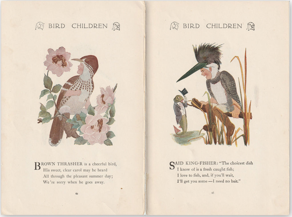 Kingfisher / Brown Thrasher - Bird Children Book Page- Elizabeth Gordon - M. T. Ross- Print, c. 1912